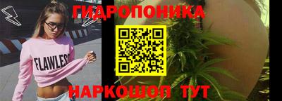 ГАЛЛЮЦИНОГЕННЫЕ ГРИБЫ Краснознаменск